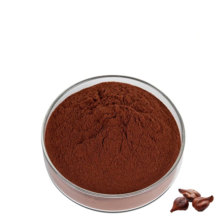 Natural Pure Grapeseed Extract OPC Powder 95% Proanthocyanidin Grape Seed Extract