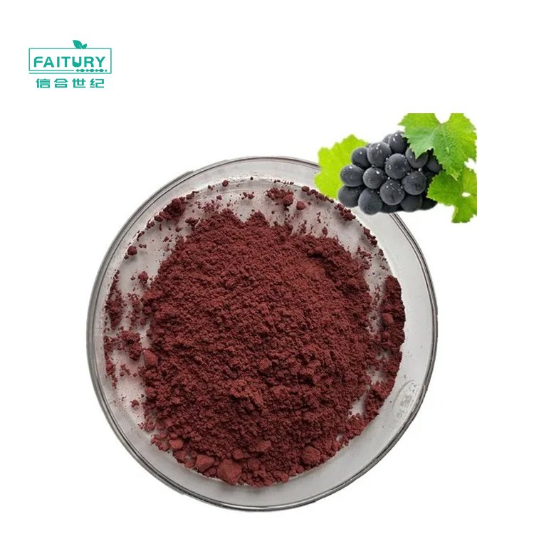 Natural Pure Grapeseed Extract OPC Powder 95% Proanthocyanidin Grape Seed Extract