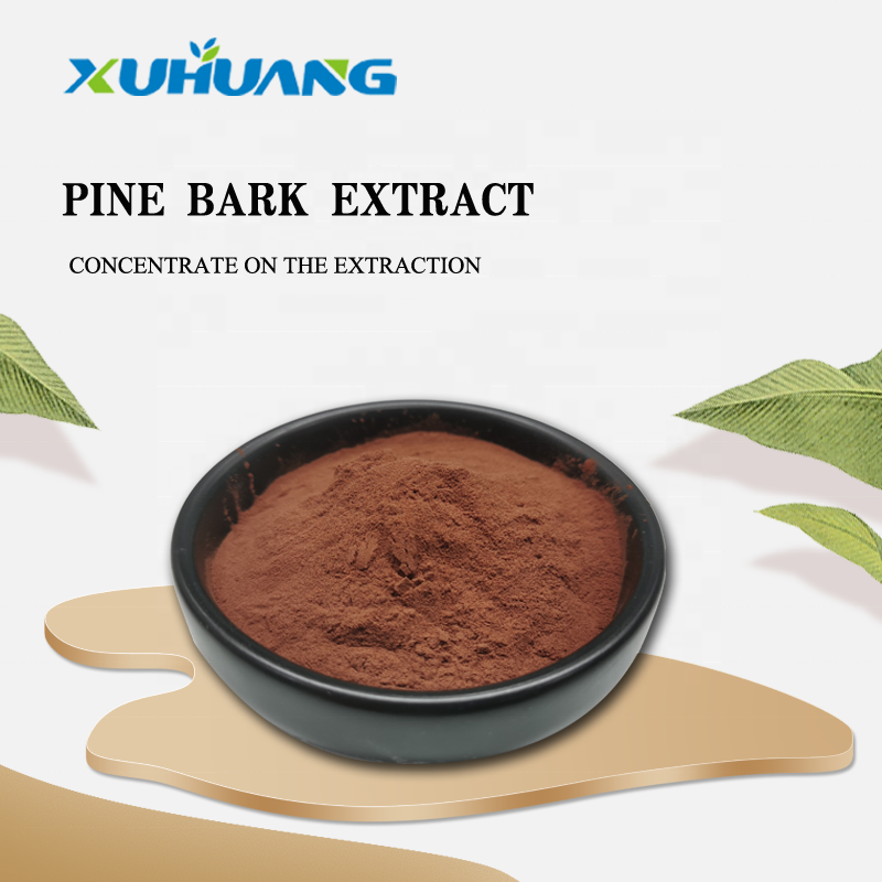 ISO Supply Antioxidant Pine Bark Extract in stock 95% OPC 50%-95% Proanthocyanidins Powder