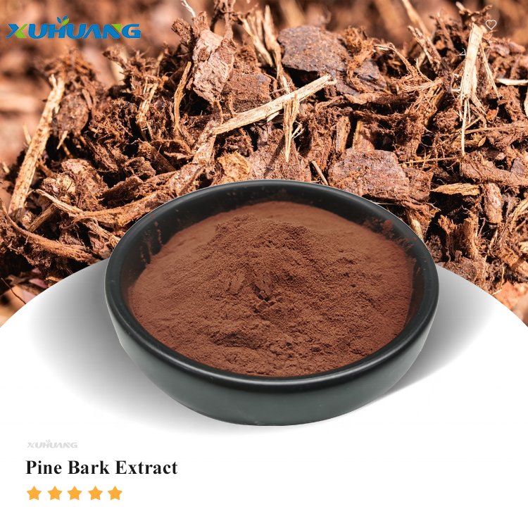 ISO Supply Antioxidant Pine Bark Extract in stock 95% OPC 50%-95% Proanthocyanidins Powder