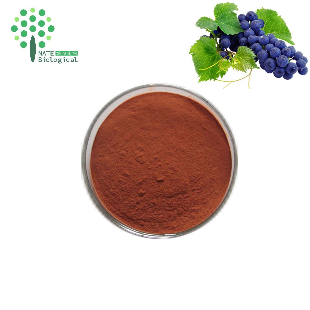 Grape seed extract OPC 95% Powder Proanthocyanidins