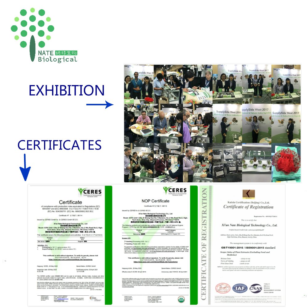 Grape seed extract OPC 95% Powder Proanthocyanidins