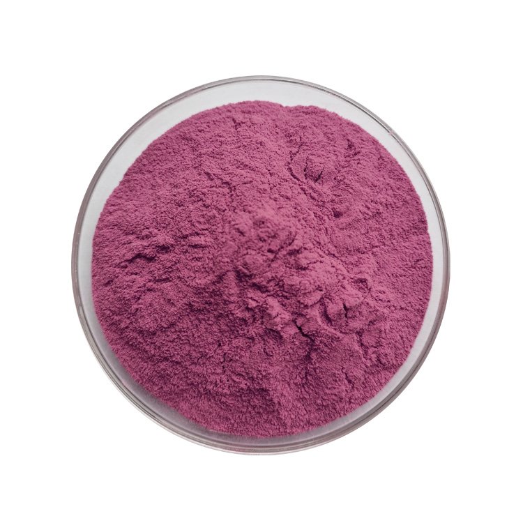 Natural Cranberry Fruit Extract Powder