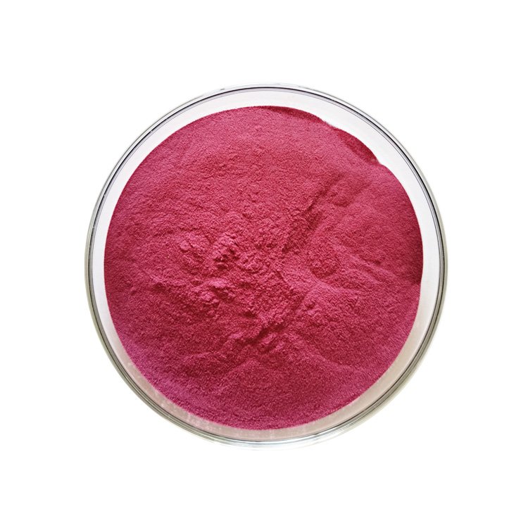 Natural Cranberry Fruit Extract Powder