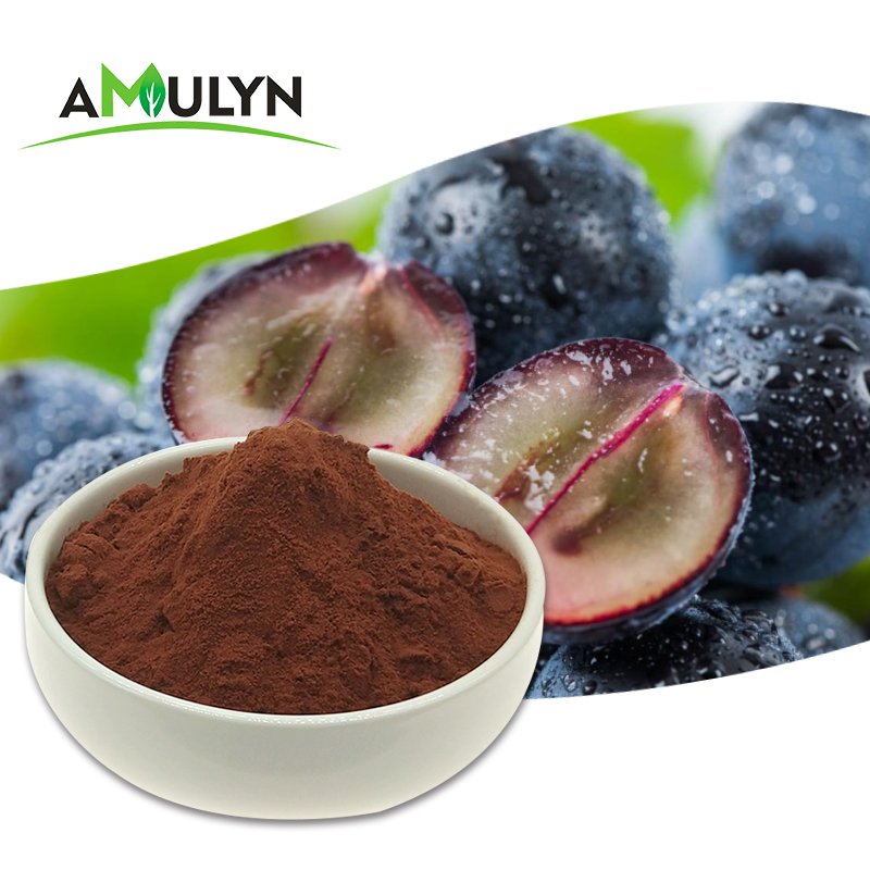 Cosmetic Grade Grape Seed Extract Proanthocyanidins 95% for Skin Whitening