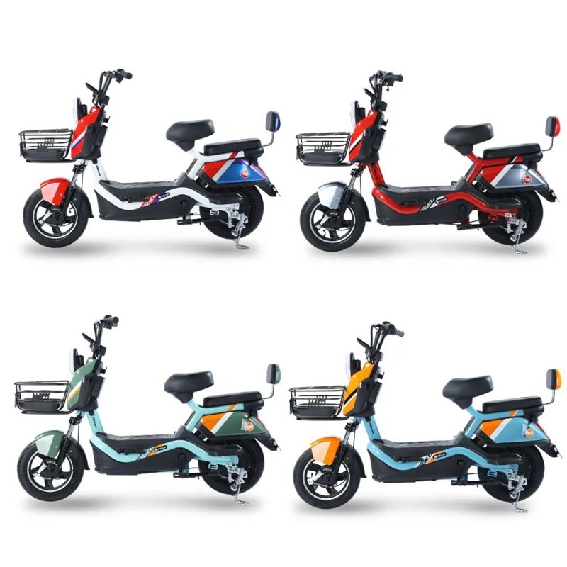 800W Big-power Electric Bike(FP-ES-LT2304)