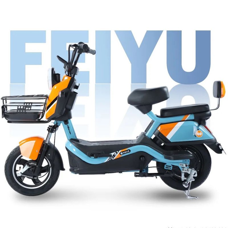 800W Big-power Electric Bike(FP-ES-LT2304)