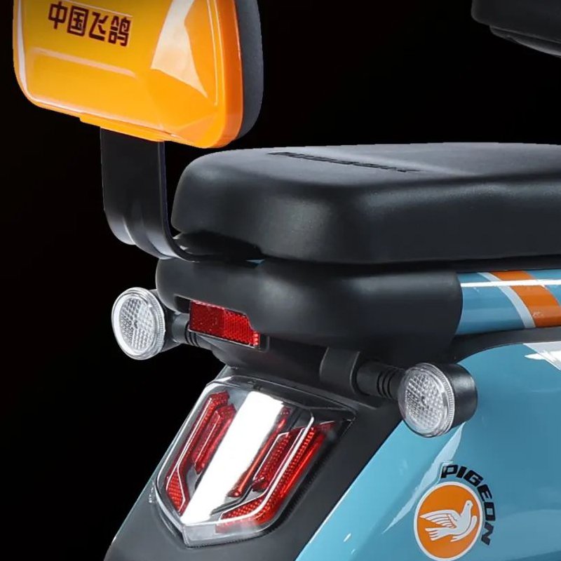 800W Big-power Electric Bike(FP-ES-LT2304)