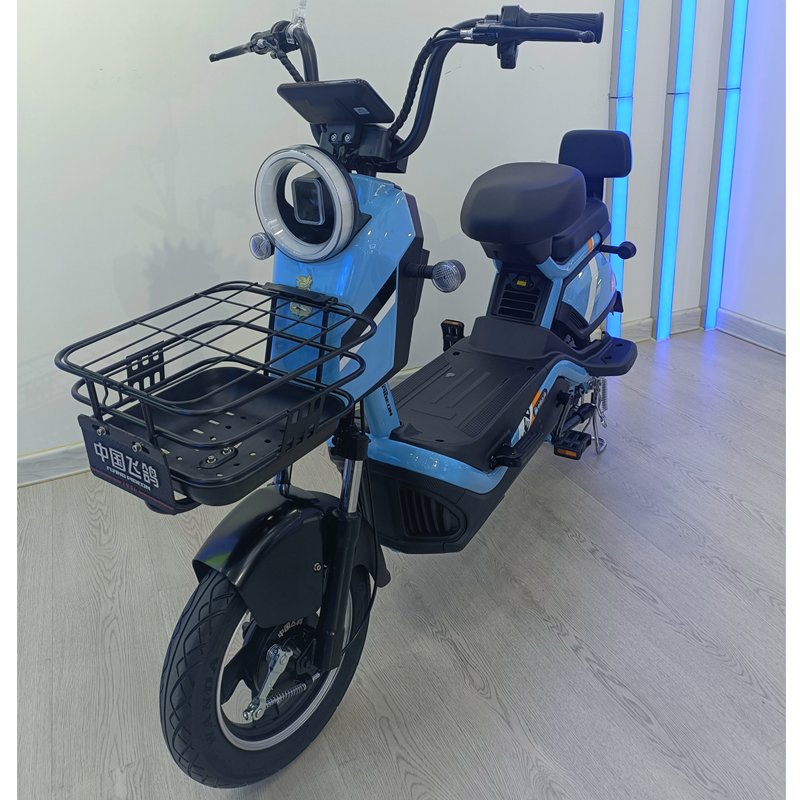800W Big-power Electric Bike(FP-ES-LT2304)