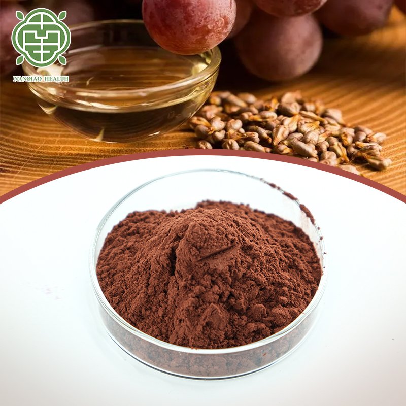 Natural Pure Grape Seed Extract Powder CAS 84929 27 1 95% OPC Plant Extract Proanthocyanidins