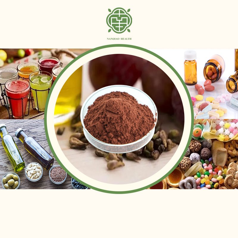 Natural Pure Grape Seed Extract Powder CAS 84929 27 1 95% OPC Plant Extract Proanthocyanidins