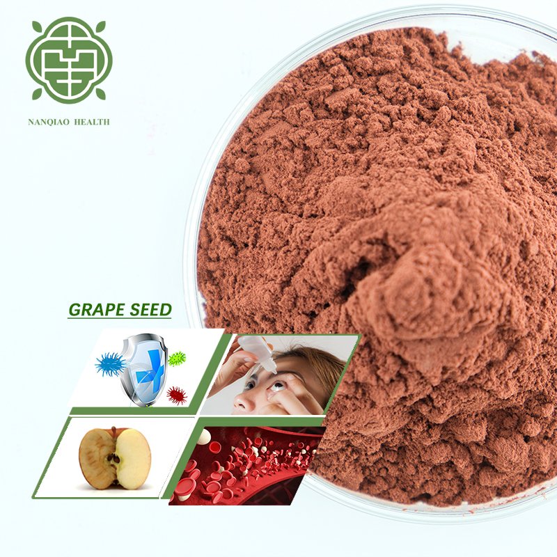 Natural Pure Grape Seed Extract Powder CAS 84929 27 1 95% OPC Plant Extract Proanthocyanidins