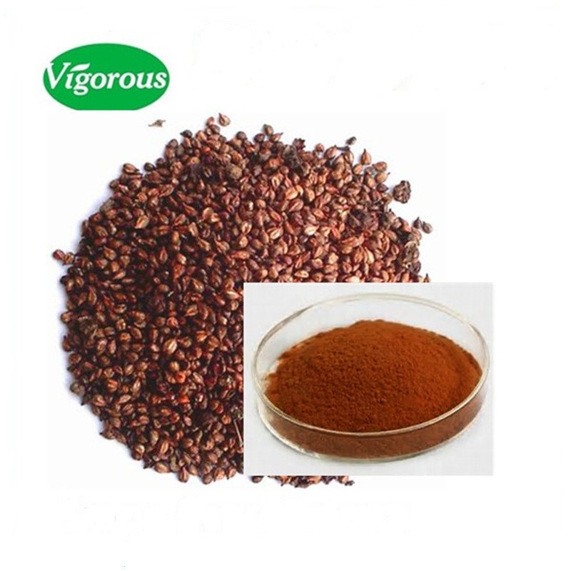 free sample Hot sale antioxidant ingredients organic grape seed extract