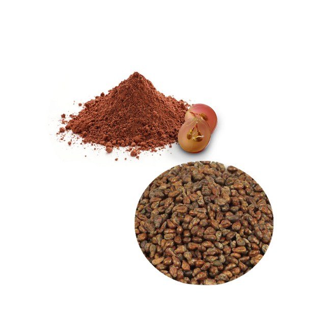 ZD Supply Grape Seed Extract Pure Natural Ogranic 95% OPC Grapeseed Polyphenol Grape Seed Extract Powder