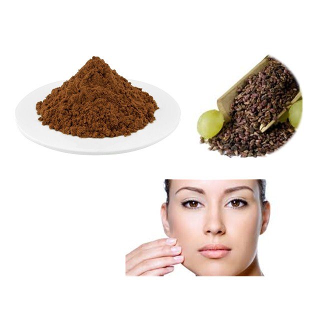 ZD Supply Grape Seed Extract Pure Natural Ogranic 95% OPC Grapeseed Polyphenol Grape Seed Extract Powder