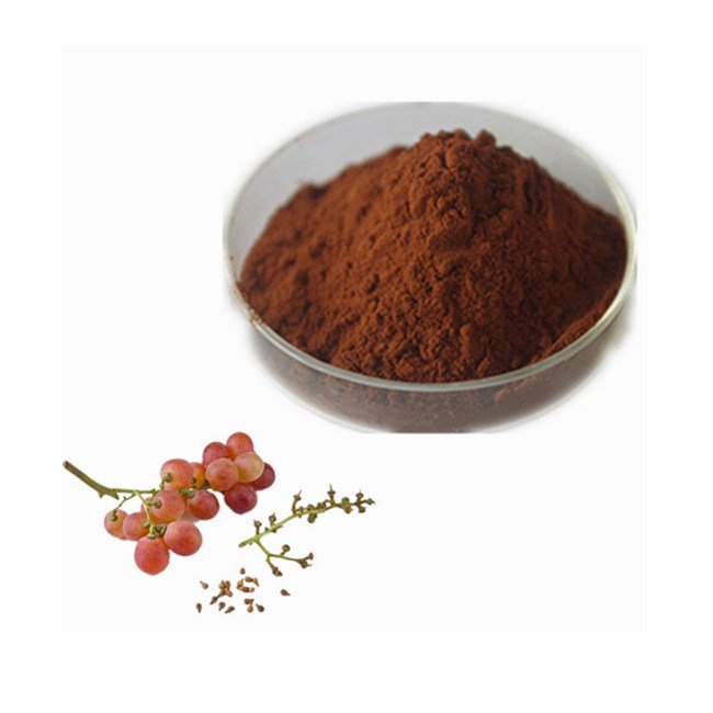 ZD Supply Grape Seed Extract Pure Natural Ogranic 95% OPC Grapeseed Polyphenol Grape Seed Extract Powder