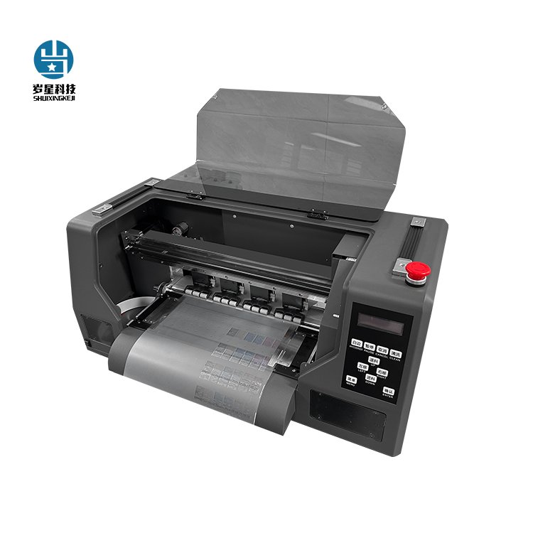 Printhead Installed Dual Xp600 Heads 30cm Heat Transfer Printing Machine A3 DTF Printer