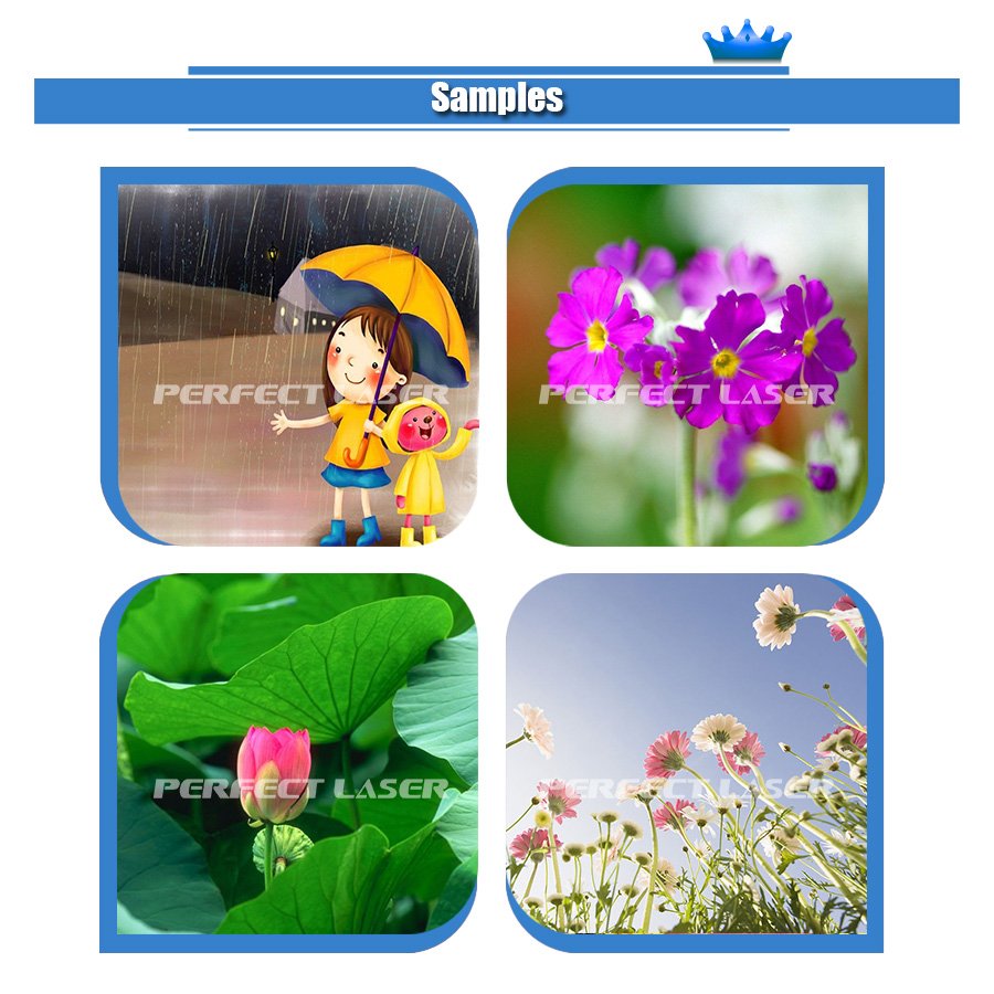 Perfect laser--high resolution 9600dpi wall printer 3d wall inkjet printer for wall mural printing machine