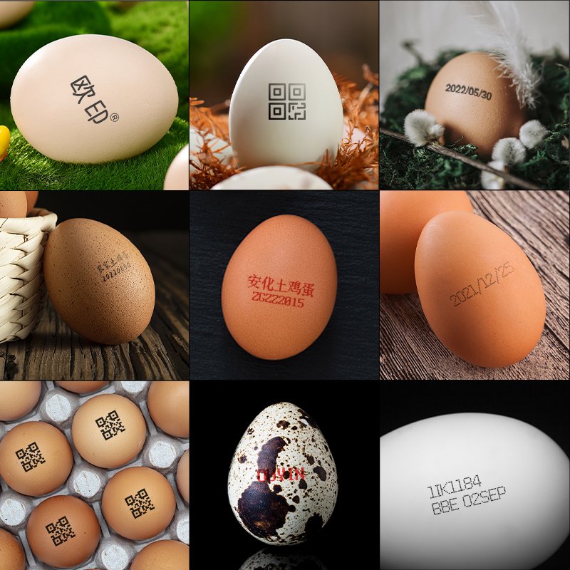 Technology golden supplier food grade eggs inkjet printer machine industrial eggs printer price