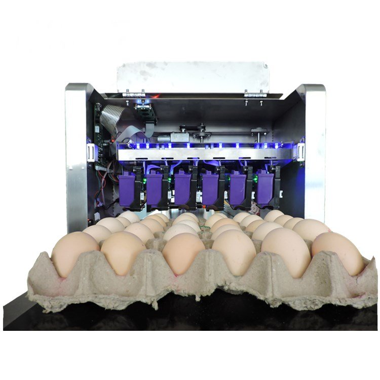 Technology golden supplier food grade eggs inkjet printer machine industrial eggs printer price