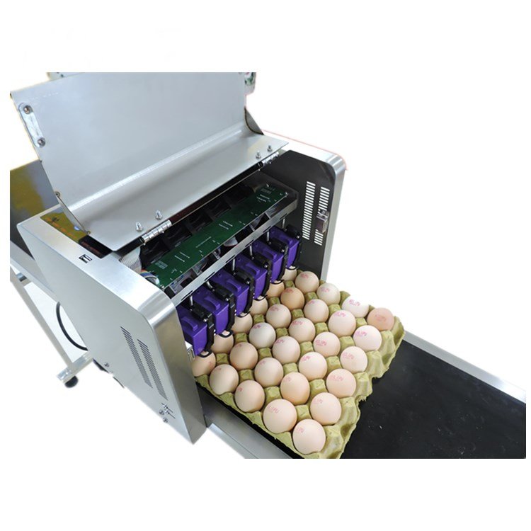 Technology golden supplier food grade eggs inkjet printer machine industrial eggs printer price