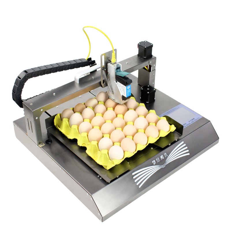 High Quality Smart Automatic Image Expiry Date Inkjet Printer For Egg
