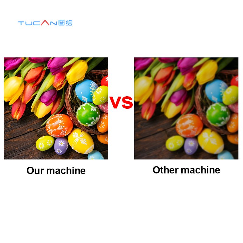 Plastic PET Film Heat Transfer Vinyl Digital Printer machine With Shaking Powder Machine uv 3d wall printer 4720/i3200 printhead