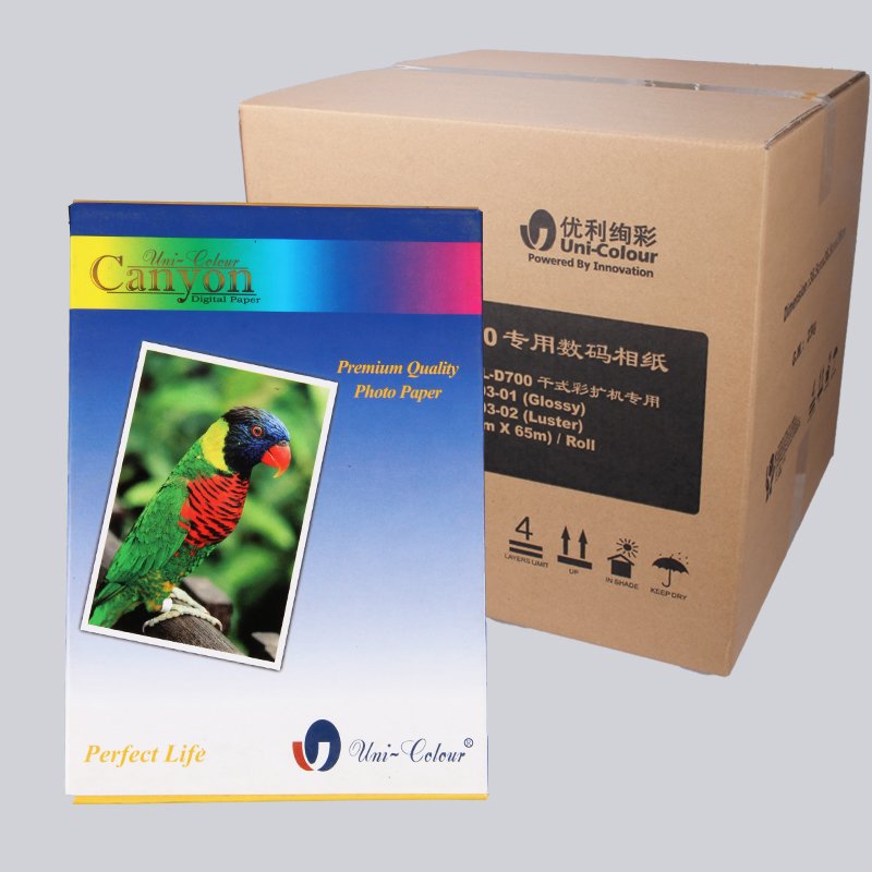 Best Price 260GSM 240GSM RC Satin Photo Paper Waterproof Roll for Inkjet Printing