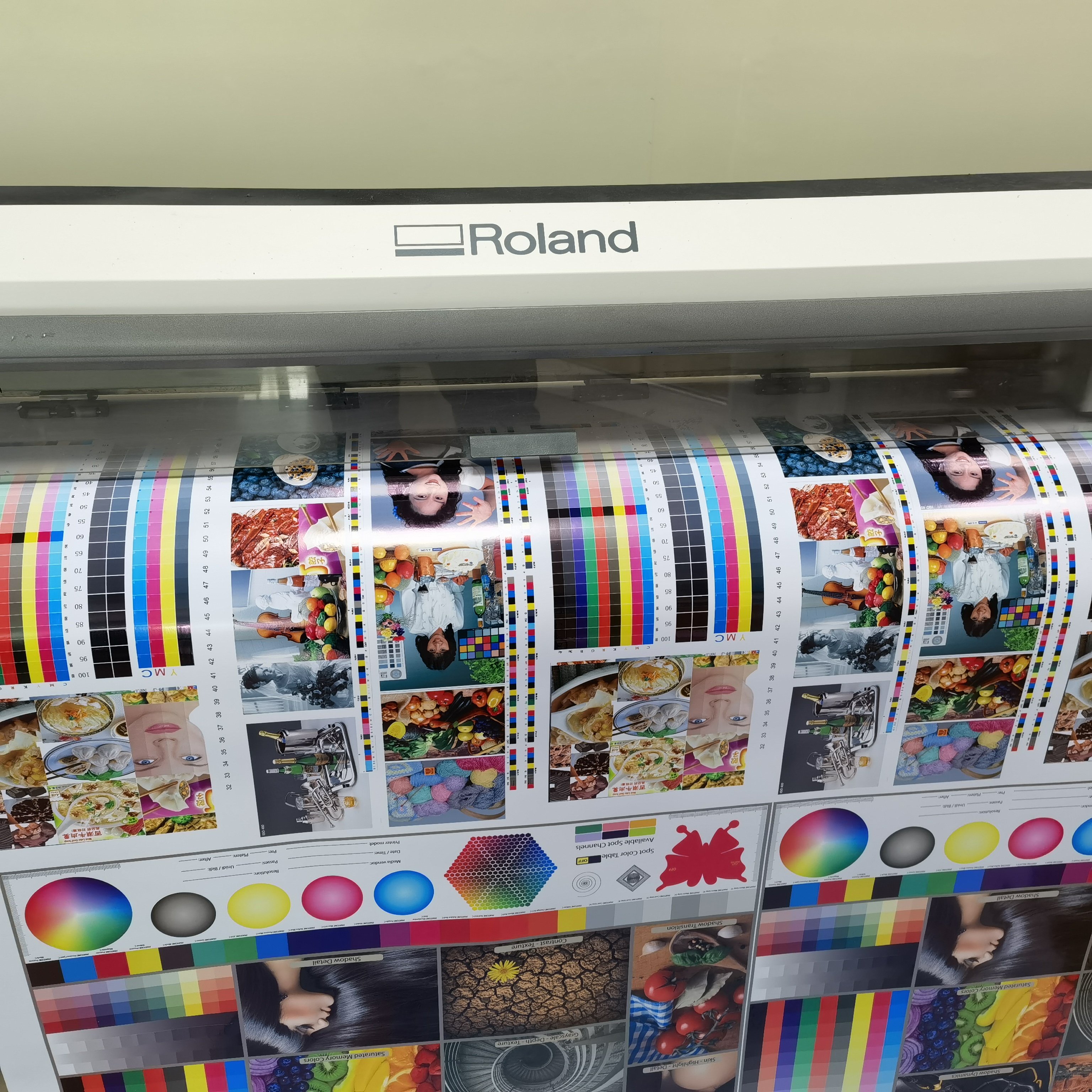 Second Hand Large Format Printer Roland Re640 Without Dx7 Print Head Use Eco Solvent Ink Second Hand Roland Printer