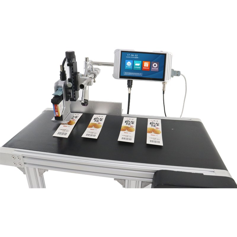 S10 Automatic Online Inkjet Coding Machine Production Date Batch Number Inkjet Printer with Paging Conveyor Coding Machine 220V