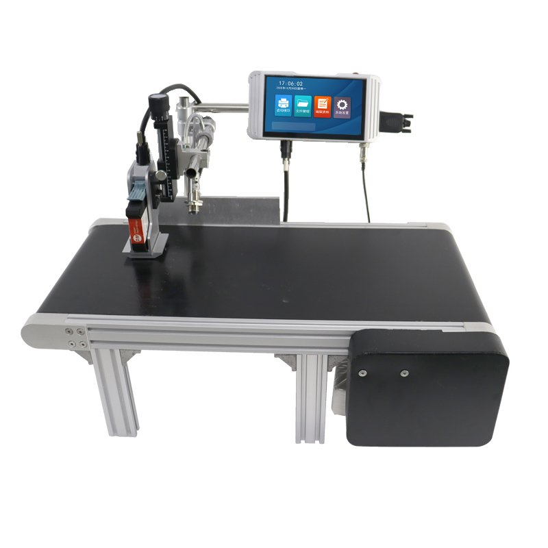 S10 Automatic Online Inkjet Coding Machine Production Date Batch Number Inkjet Printer with Paging Conveyor Coding Machine 220V