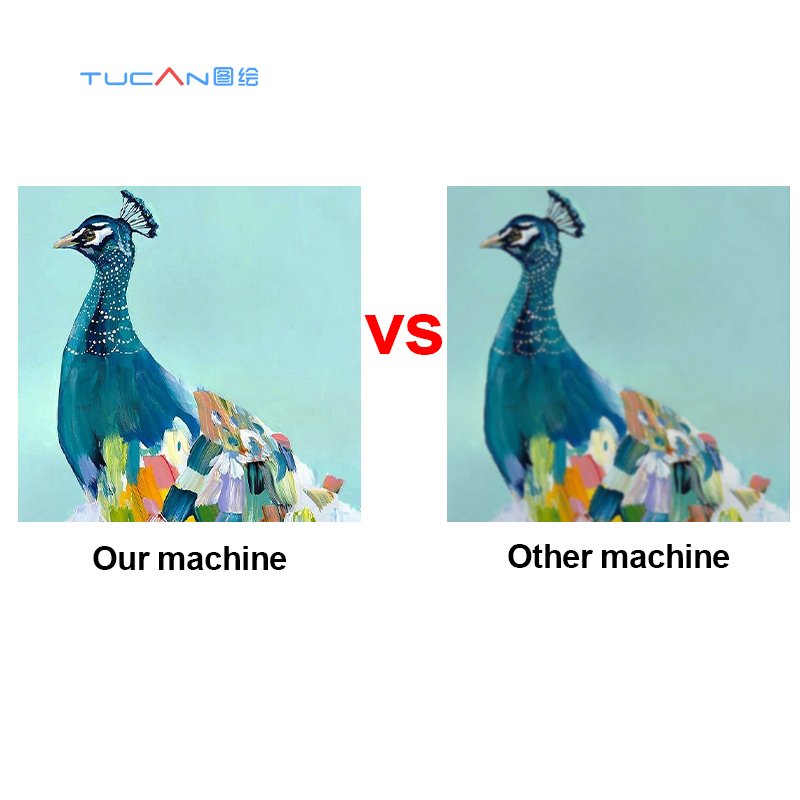 1600mm / 1800mm inkjet printer screen printing machines dtf printer eco solvent flatbed digital printer