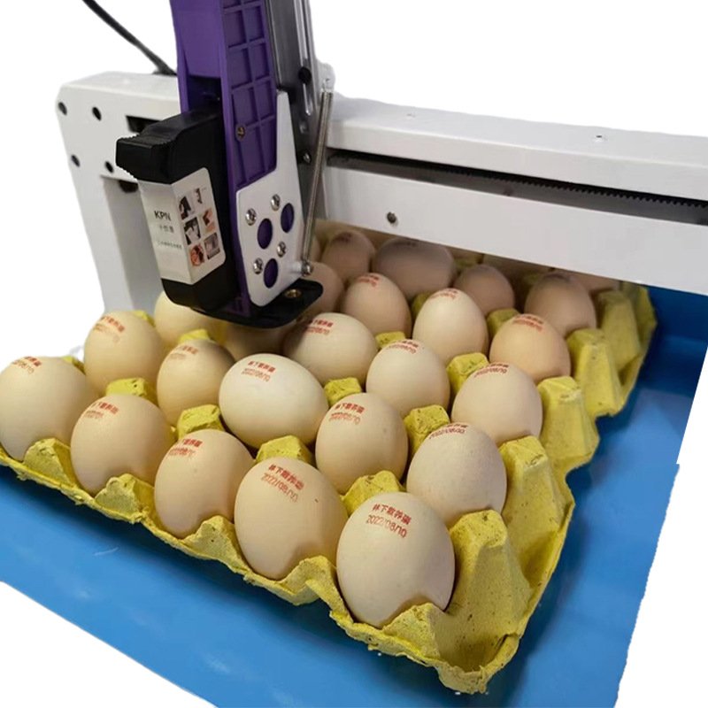 Inkjet Printer For Egg Machines For Small Businesses Egg Date Machine Egg Date Printer