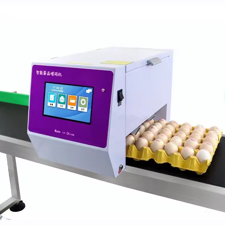 High Quality Automatic Tij Printer Egg Inkjet Machine for Continuous Coding Expiration Date Egg Stamping Inkjet Marking Machine