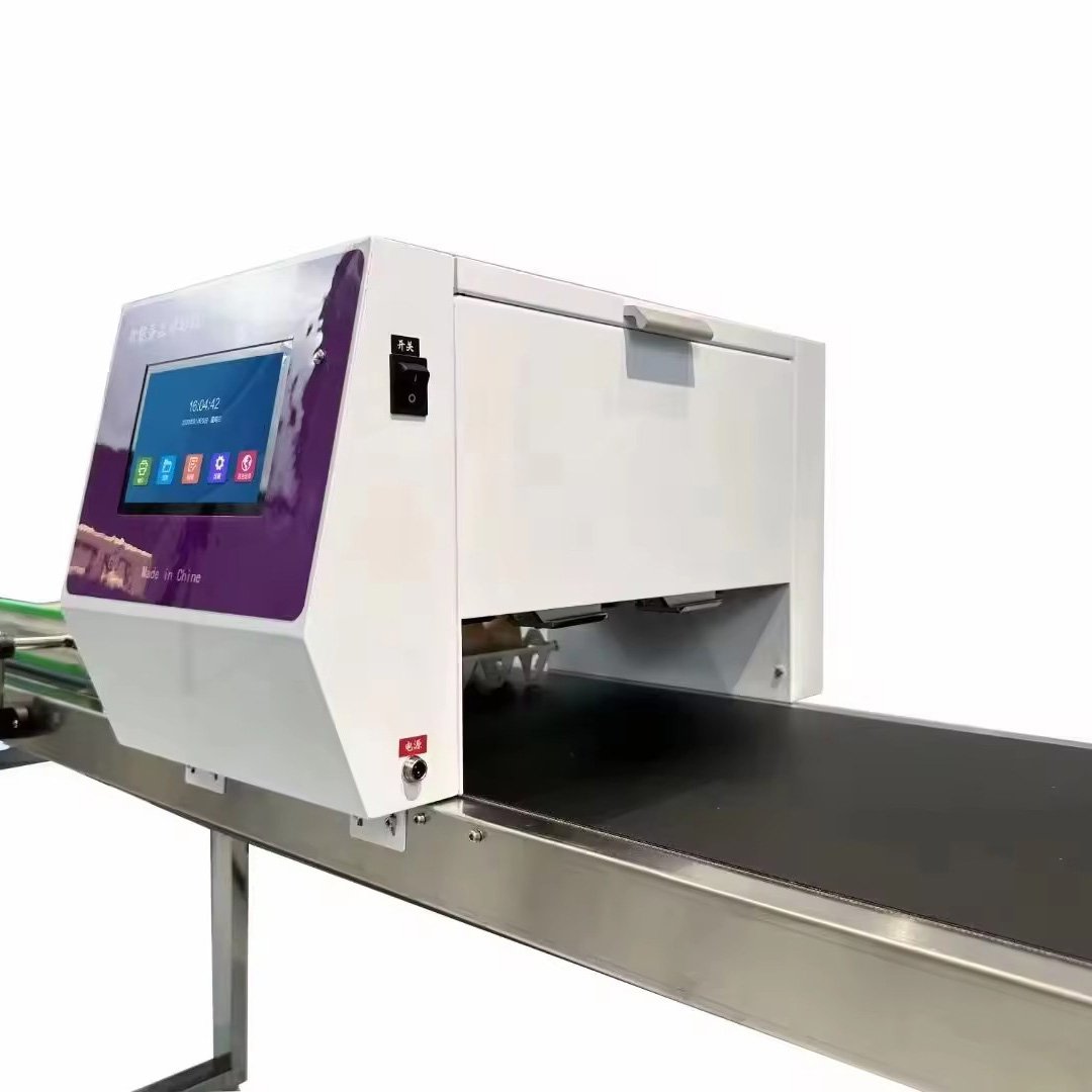High Quality Automatic Tij Printer Egg Inkjet Machine for Continuous Coding Expiration Date Egg Stamping Inkjet Marking Machine