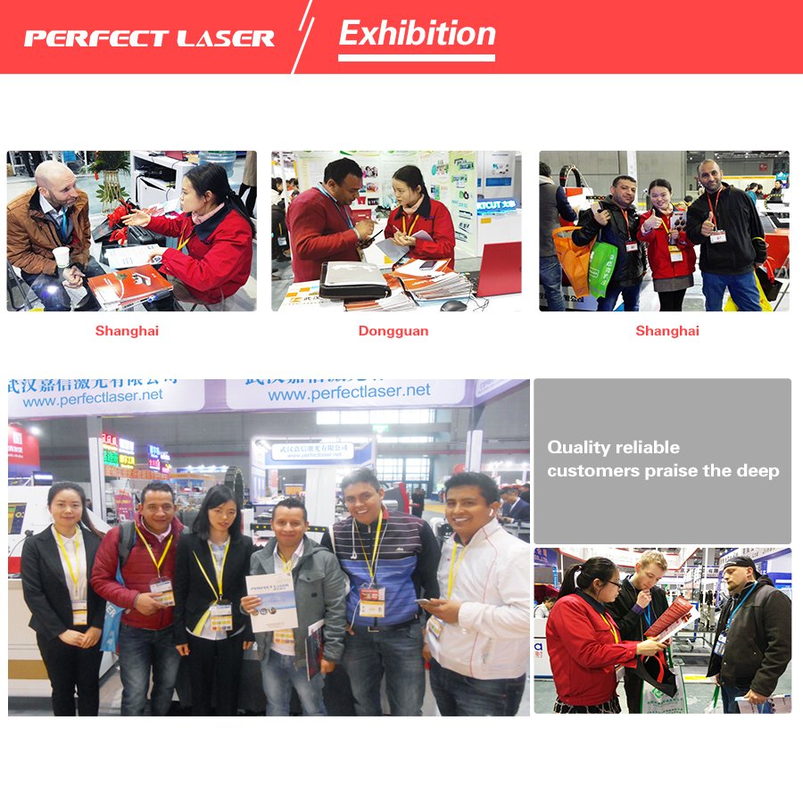 Perfect laser Highly resolution 3D 5D photo Wall inkjet Printer Painting Printing Machine uv ink print on no water absorption