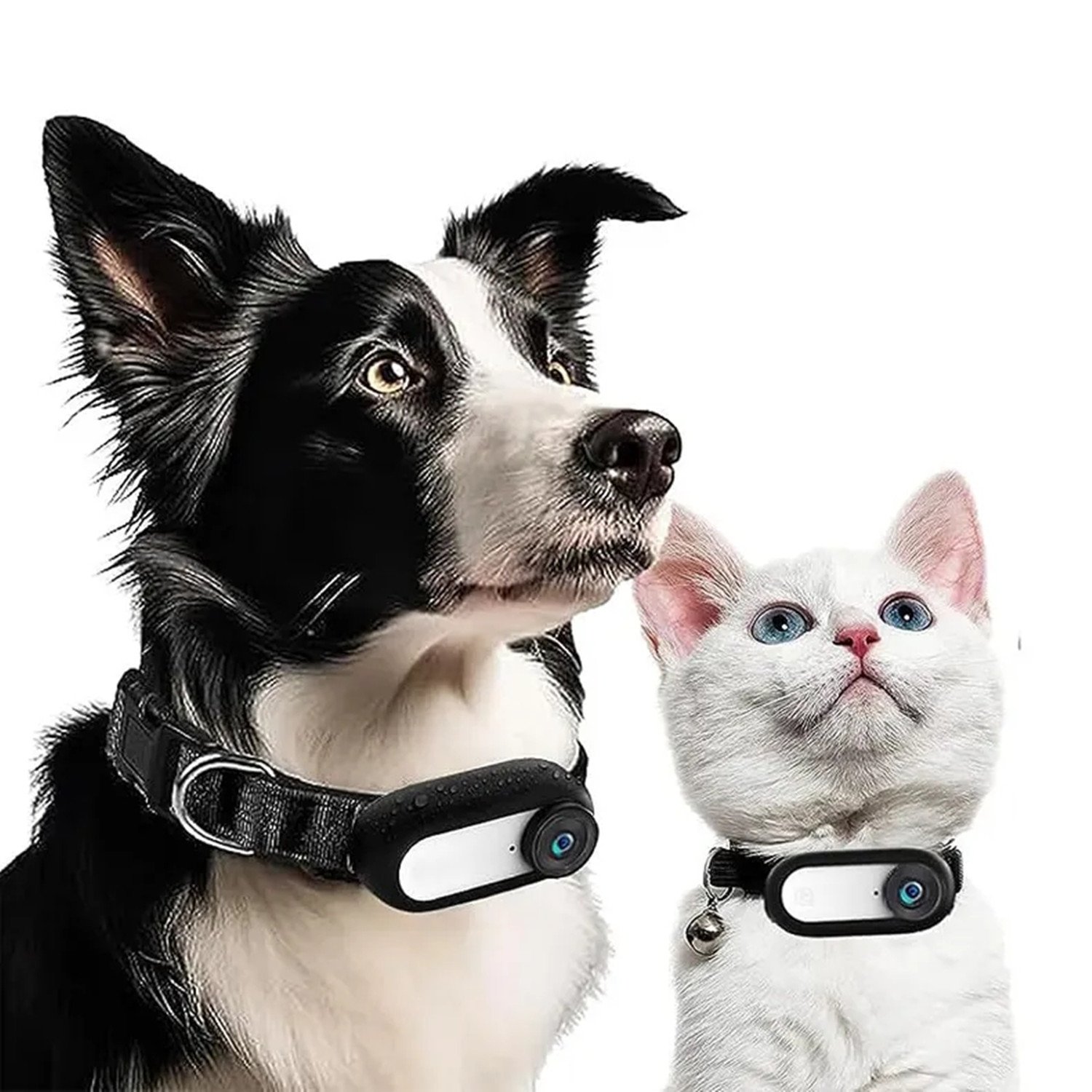 Wholesale mini cameras Pet Sports cat collar with video camera Outdoor Headworn Magnetic Thumb Travel Anti Shake mini cameras