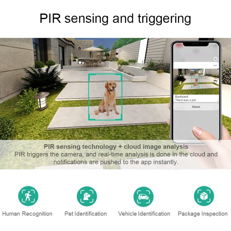 Factory Price Wireless Wifi Bullet Solar Panel Outdoor Camera Colorful IR Night Vision Two-Way Talk Surveillance Battery Camera