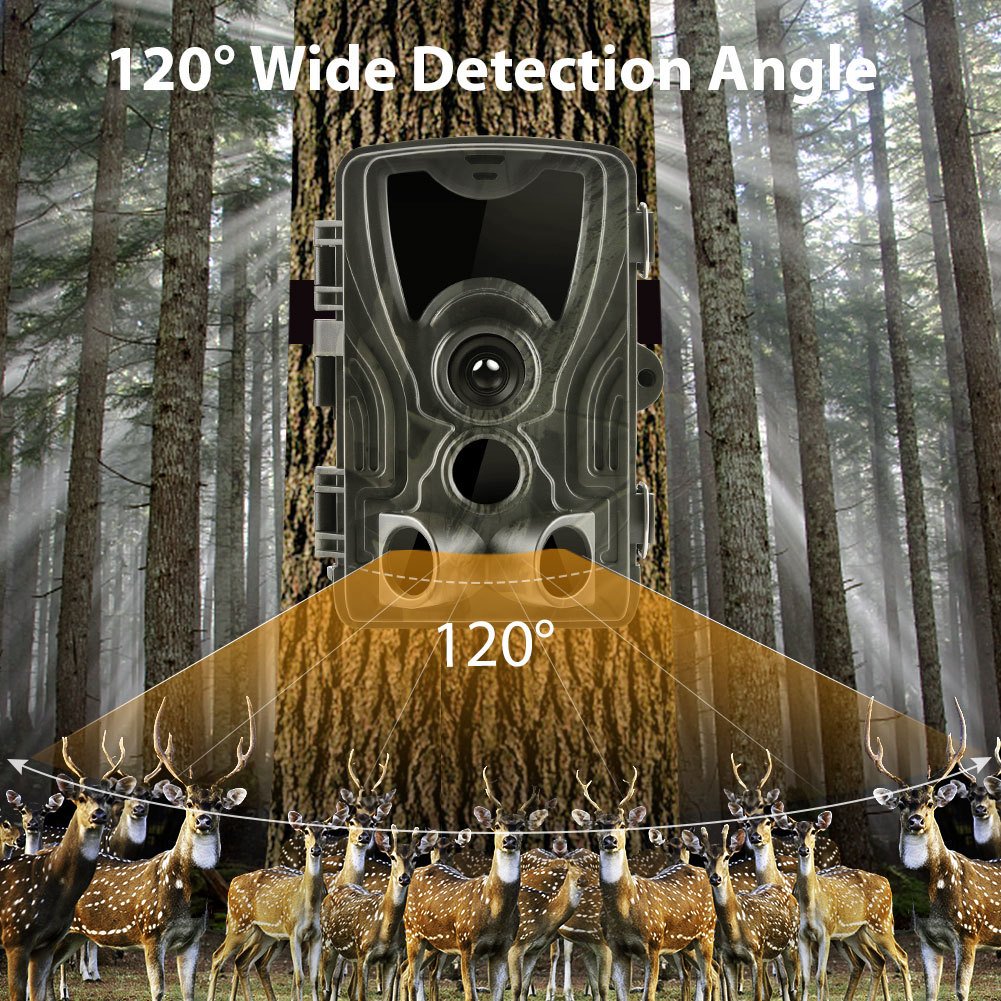 Anti-hunting outdoor camera HC801A infrared induction video recorder 20MP 1080P waterproof camera manufacturer