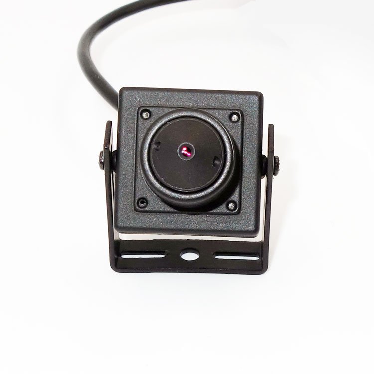 2MP pinhole camera EFL 5mm HD CCTV iguana hamster guinea pig pet snake keeping observation ATM machine mini Analog Signal camera