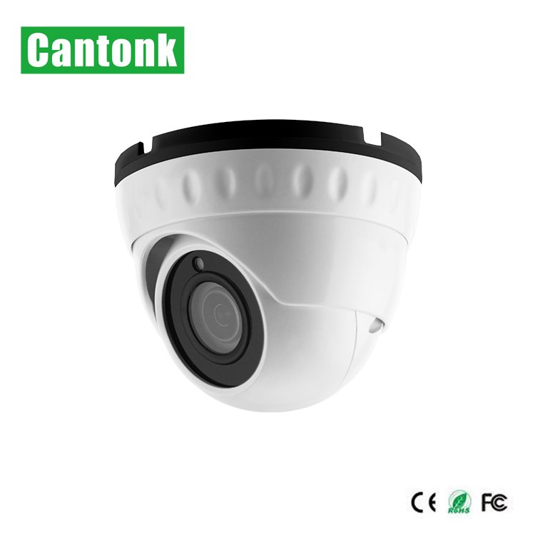 Cantonk IP 2M Vandalproof & Weatherproof IR Dome Network Camera Including Internal POE
