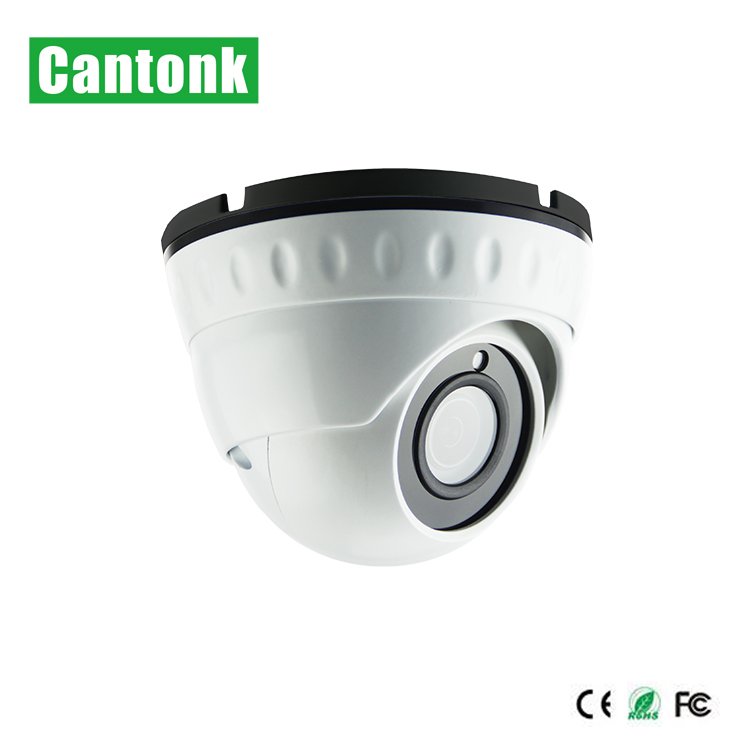 Cantonk IP 2M Vandalproof & Weatherproof IR Dome Network Camera Including Internal POE