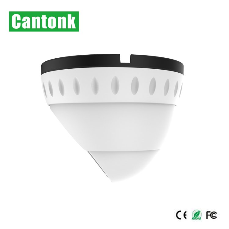 Cantonk IP 2M Vandalproof & Weatherproof IR Dome Network Camera Including Internal POE