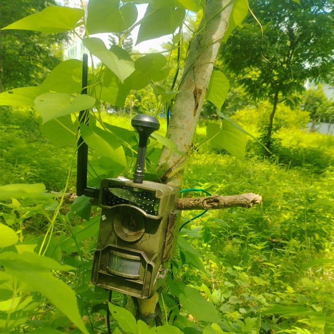 Ltl Acorn 4G GPS 12MP Digital Infrared Wireless HD Video Outdoor Trail Hidden Camera Trap