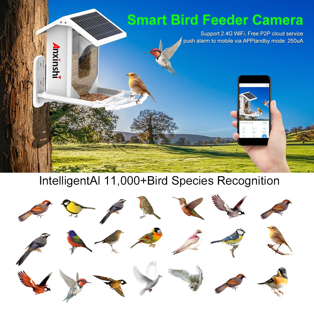 P2P Bird Feeder House IP Camera Solar Battery Camera 2MP Wireless ICSee App IP66