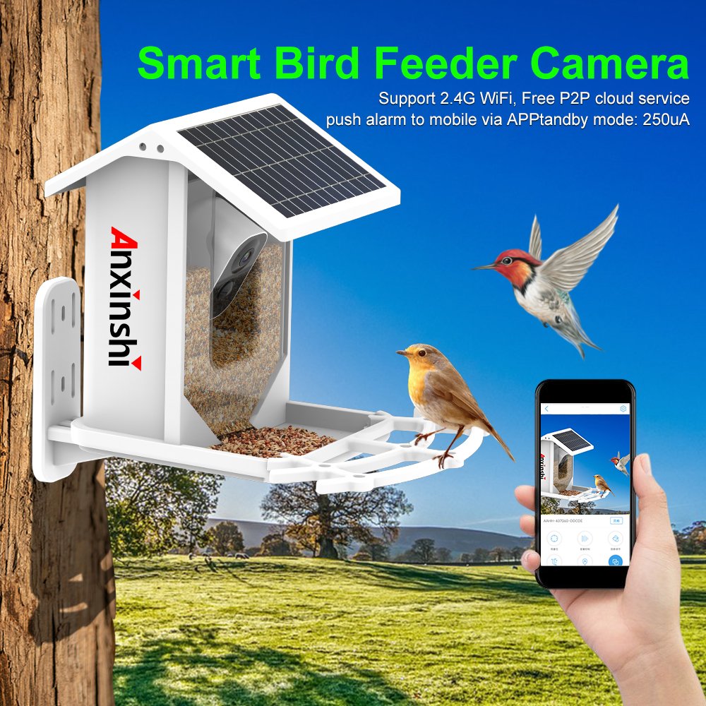P2P Bird Feeder House IP Camera Solar Battery Camera 2MP Wireless ICSee App IP66