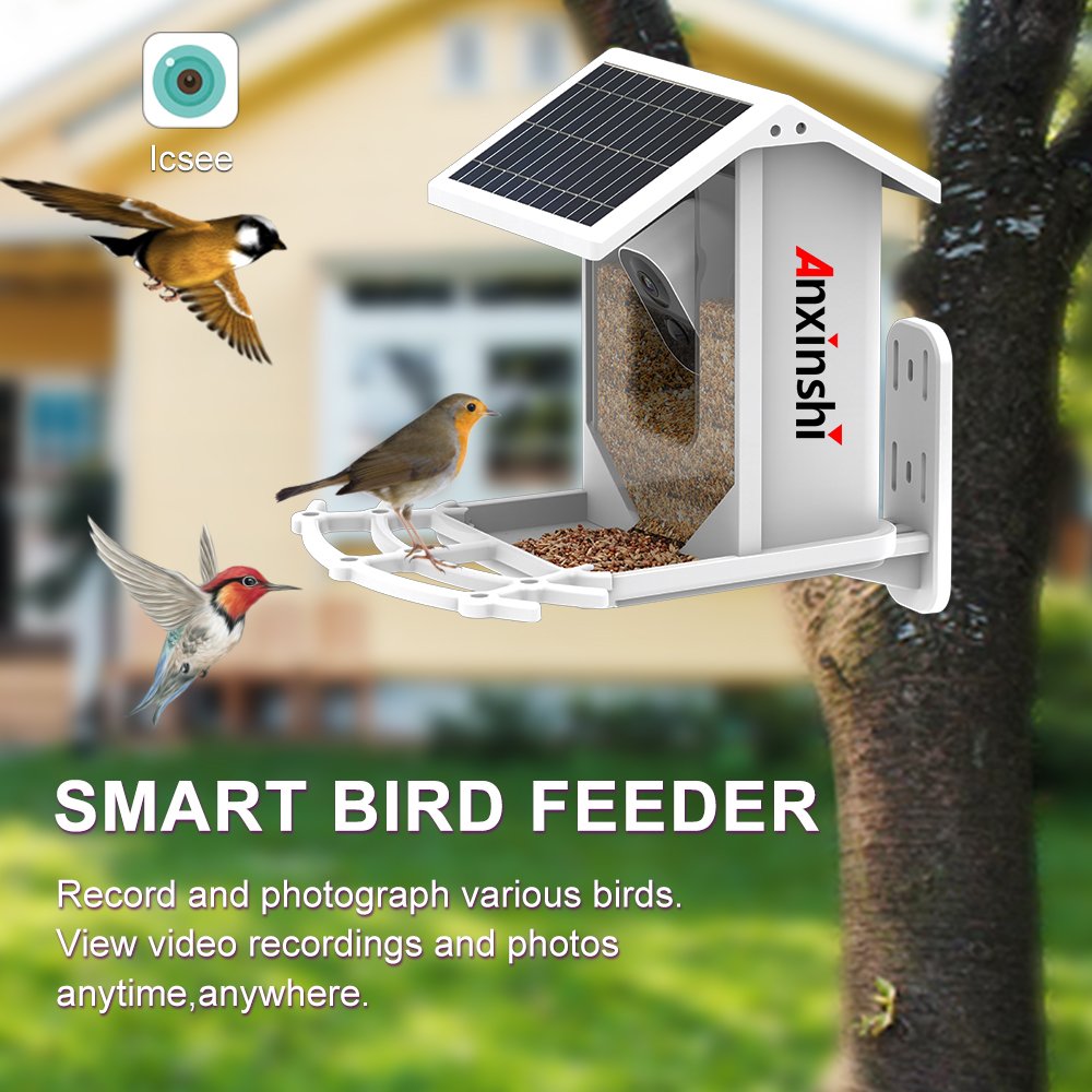 P2P Bird Feeder House IP Camera Solar Battery Camera 2MP Wireless ICSee App IP66