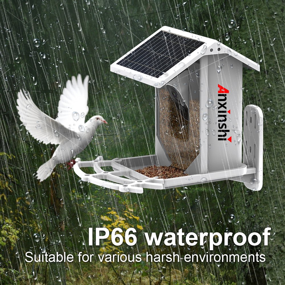 P2P Bird Feeder House IP Camera Solar Battery Camera 2MP Wireless ICSee App IP66