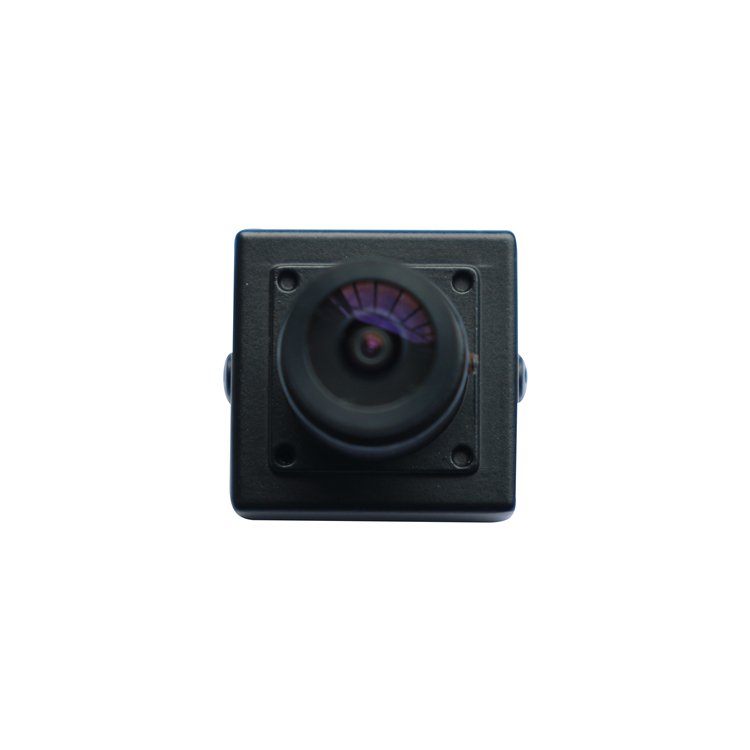 1/3 CCD CCD ICX811 700TVL Phinhole Micro Av CCD CVBS Mini Cctv Bank Cashing Camera