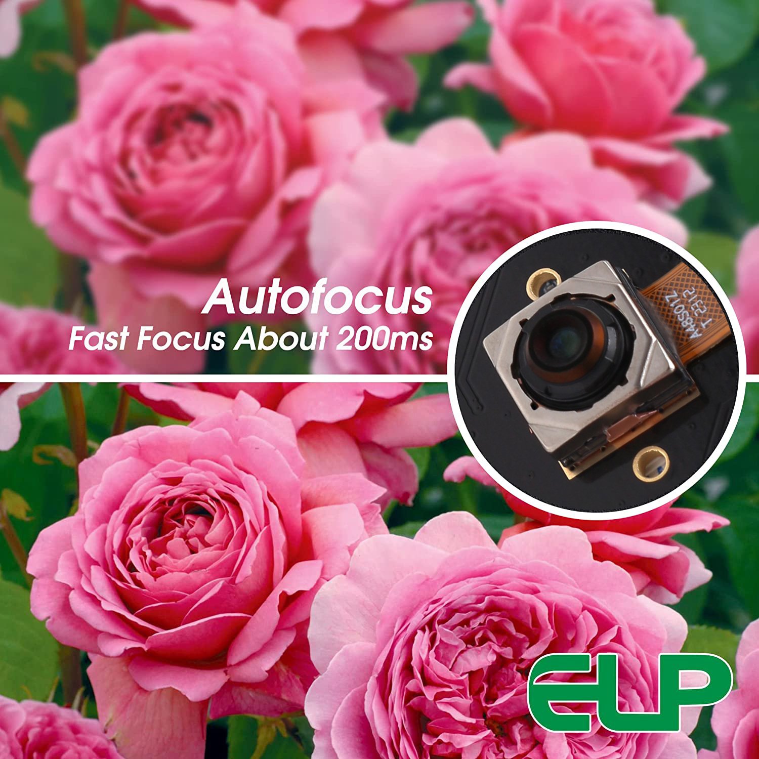 ELP OEM UVC Driver Free 48MP Autofocus HD PC Webcam 8000x6000P 30fps 4K 8K Night Vision Auto Focus Mini Camera With White LED